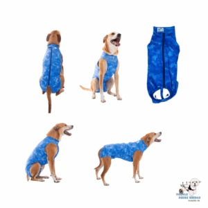 Body Post-Quirúrgico Azul Dry Light Supreme (Castración Macho) Pet Med Perro Talla 0 Peso: (1.1.5 Kg)