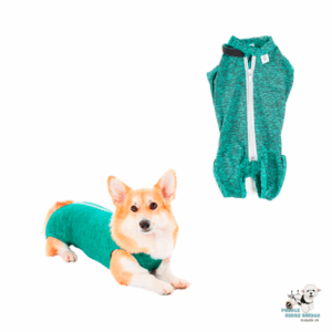 Body Post-Quirúrgico Verde (Cirugía Abdominal) Pet Med Perro Talla 11 Peso: (27-32Kg)