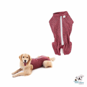 Body Post-Quirúrgico Rojo (Cirugía Abdominal) Pet Med Perro Talla 6 Peso: (8-10 Kg)