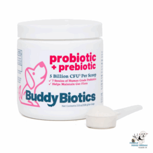 Probiotic + Prebiotic Buddy Biotics Perro 108 Gr