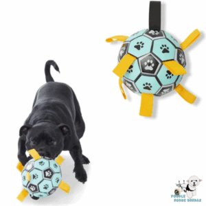 Pelota Futboll All Day Perro 1 Unid