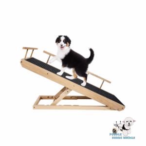 Rampa 6 Alturas Ajustables De 40 Cm A 66 Cm / Madera Rampaw Perro