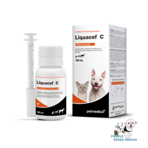 Liquacef C Antibiótico Petmedica Gato 100 Ml
