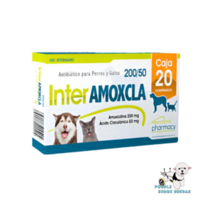 Interamoxcla 200/50 - Antibiótico Pharmacy Gato 1 Tableta