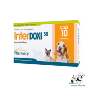 Interdoxi 50 - Doxiciclina 50 Mg Pharmacy Gato 1 Tableta