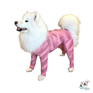 Body Cuerpo Y Extremidades Rosado (Macho / Hembra) Pet Med Perro Talla 4 Peso: (4.5-6Kg)