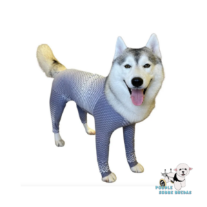 Body Cuerpo Y Extremidades Gris/Blanco (Macho / Hembra) Pet Med Perro Talla 4 Peso: (4.5-6Kg)