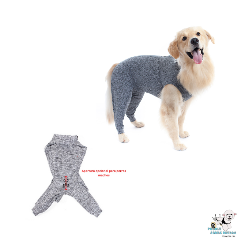 Body Para Miembros Posteriores Gris Pet Med Perro Talla 10 Peso: (21-27Kg)