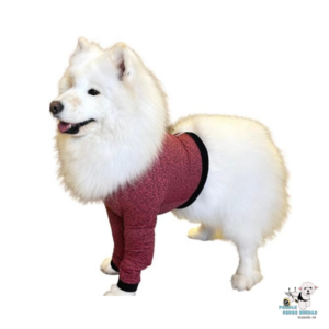Protector Para Miembros Anteriores Y Pecho Pet Med Perro Talla 7 Peso: (10-13Kg)
