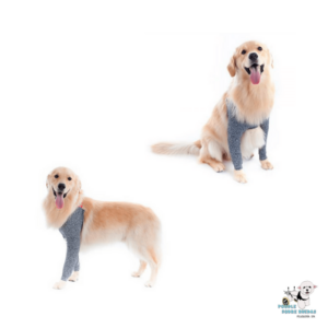 Protector Para Miembros Anteriores Pet Med Perro Talla 7: (Extremidades 31 Cm)