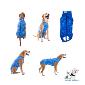 Body Post-Quirúrgico Azul Dry Light Supreme (Castración Macho) Pet Med Perro Talla 2 Peso:(2.5-.3.5 Kg)