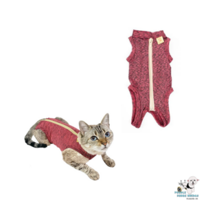 Body Post-Quirúrgico Rojo (Cirugía Abdominal) Pet Med Gato Talla 1 Peso: (2.3 - 3 Kg)