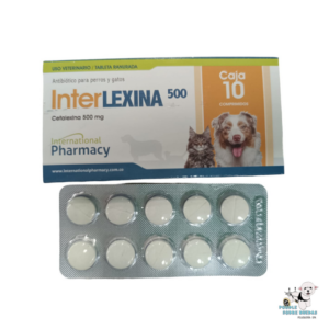 Interlexina 500 Cefalexina 500 Mg Pharmacy Gato 1 Tableta