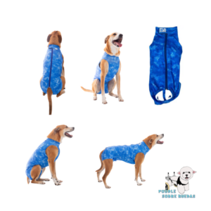Body Post-Quirúrgico Azul Dry Light Supreme (Castración Macho) Pet Med Perro Talla 10 Peso: (21-27 Kg)