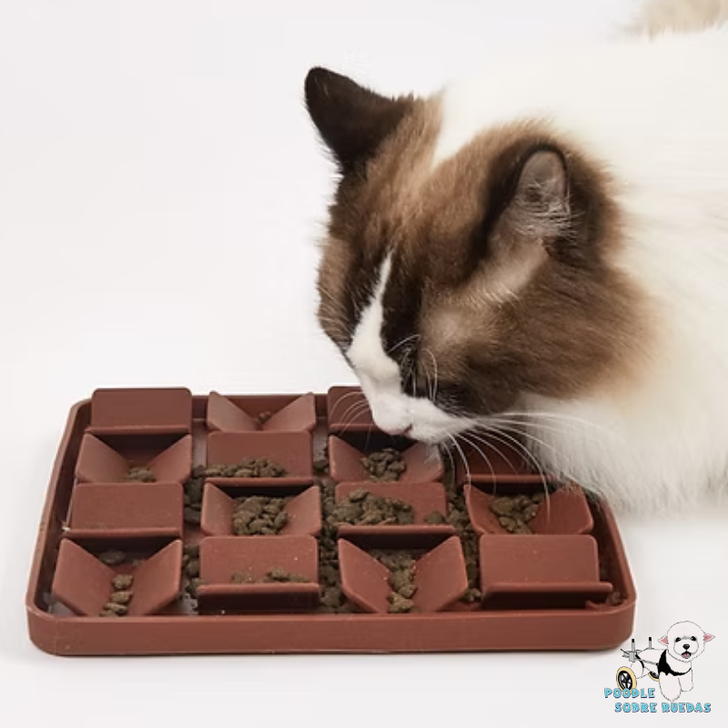 Licki Mat Cuadros Color Chocolate Fofos Gato 1 Unid