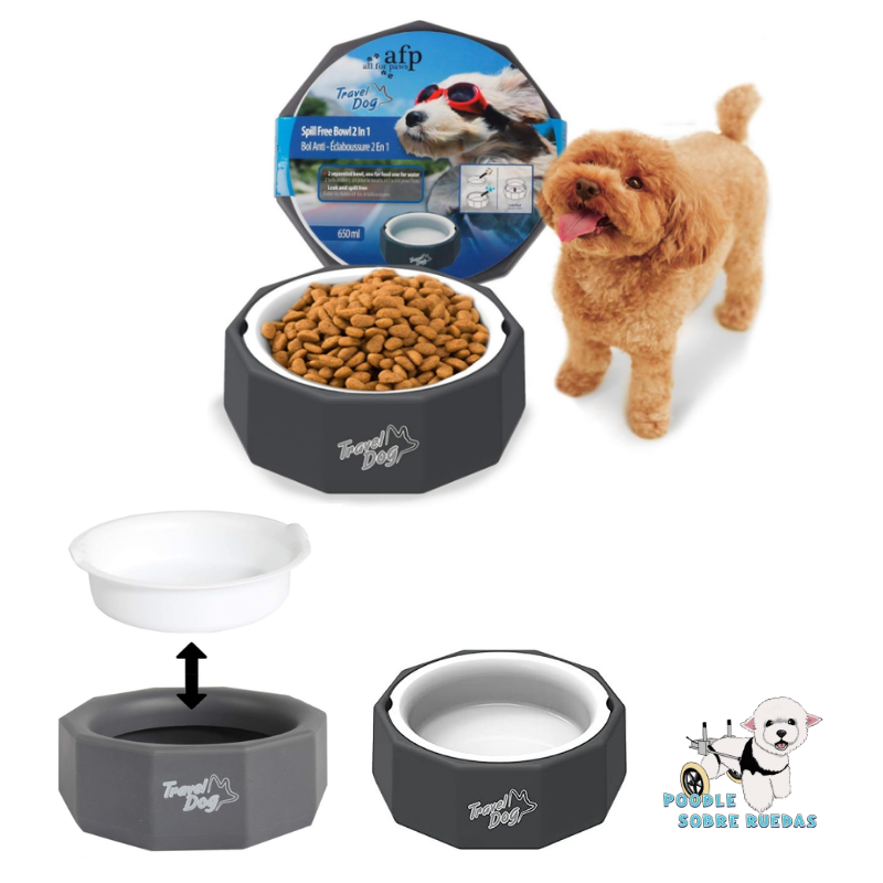 Plato 2 En 1 Afp All For Paws Perro 1 Unidad
