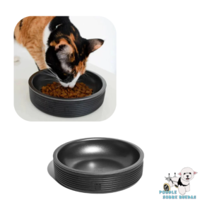 Duo Bowl Color Negro Zeecat Gato 1 Unidad