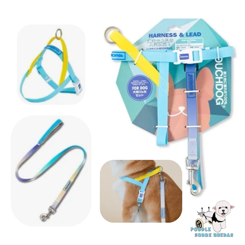 Harness & Leash Set Light Blue Pvc Talla S Touchdog Perro 1 Unidad