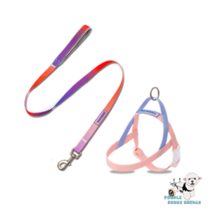 Harness & Leash Set Pink Pvc Talla S Touchdog Perro 1 Unidad