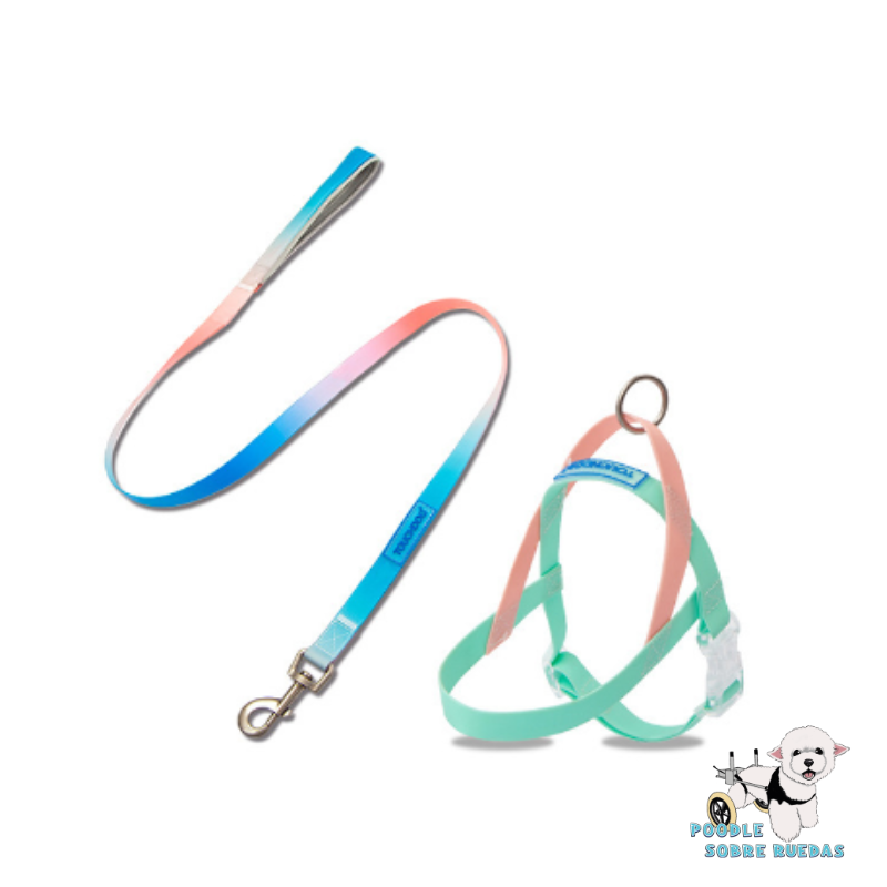 Harness & Leash Set Light Green Pvc Talla S Touchdog Perro 1 Unidad