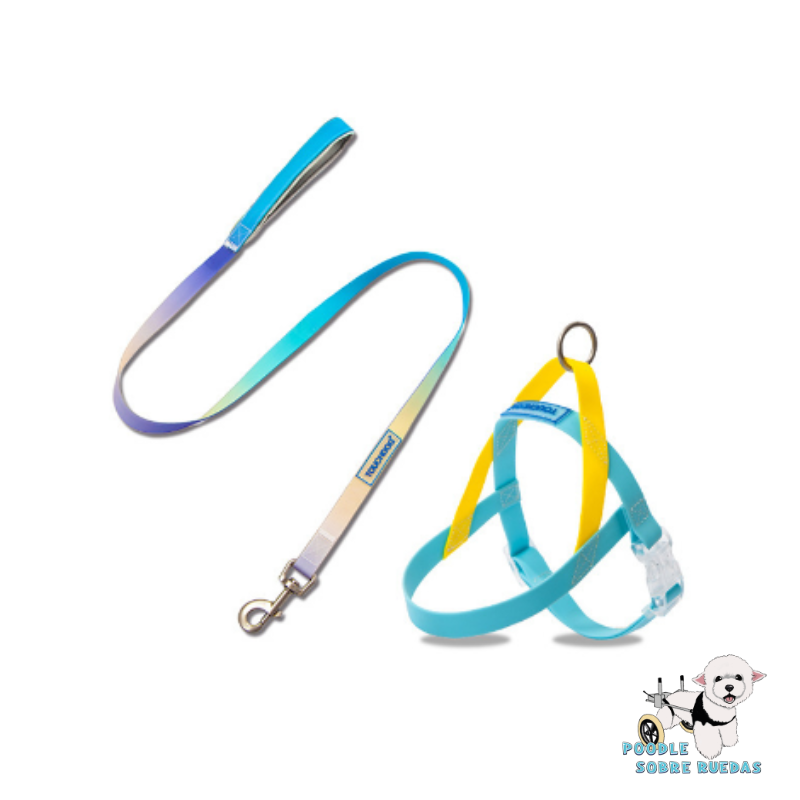 Harness & Leash Set Light Blue Pvc Talla M Touchdog Perro 1 Unidad