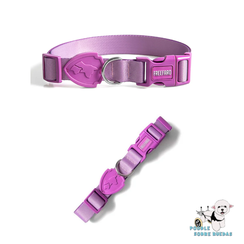 Collar Lila Talla M Freefaro Perro 1 Unidad