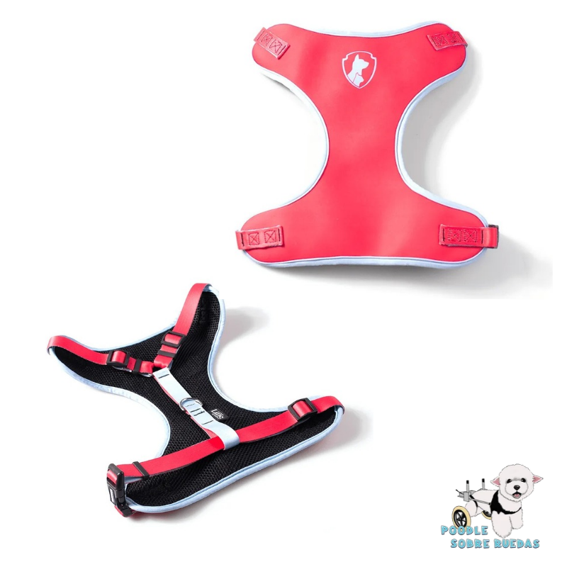 Arnés Air Liffe Imaginario Talla M Freefaro Perro 1Unidad