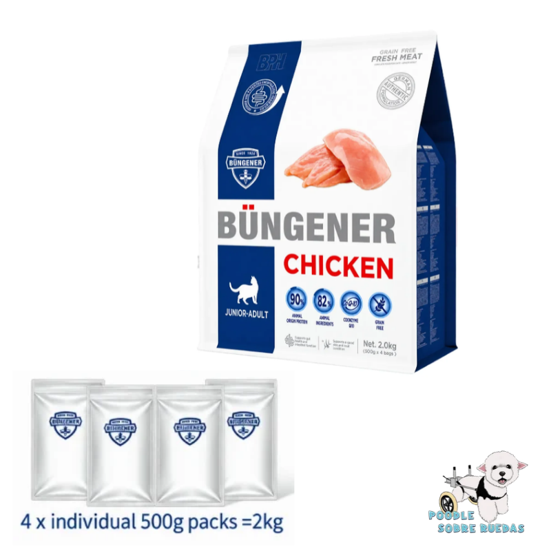 Chicken Grain Free Junior - Adult Büngener Gato 2 Kg