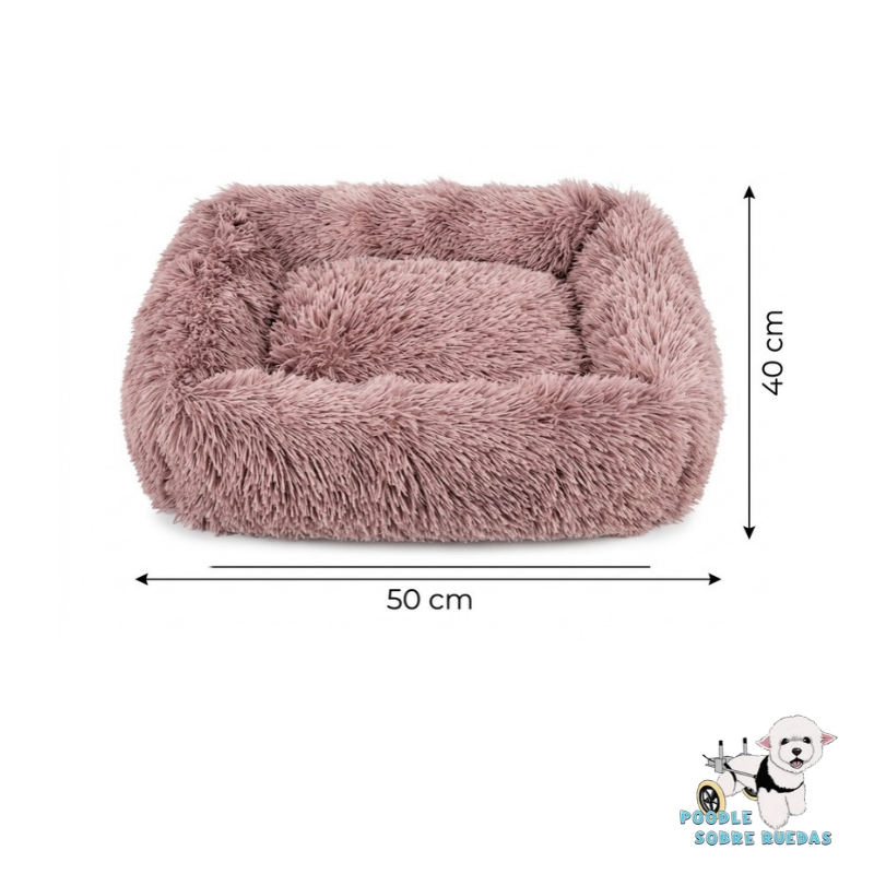 Cama Sofá Morada 50X40 Cm Pet Park Perro 1 Unidad